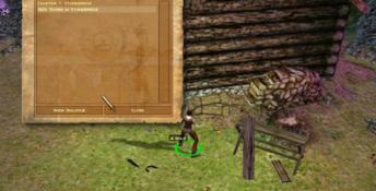 Dungeon Siege PC Screenshot