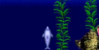 ECCO Jr.