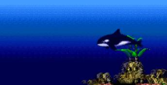 ECCO Jr. PC Screenshot
