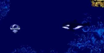 ECCO Jr. PC Screenshot