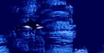 ECCO Jr. PC Screenshot