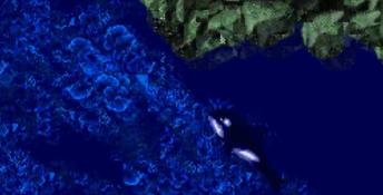 ECCO Jr. PC Screenshot