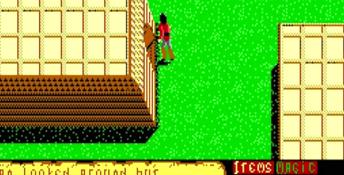 Faery Tale Adventure PC Screenshot