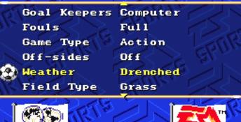 FIFA International Soccer PC Screenshot