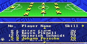 FIFA International Soccer PC Screenshot