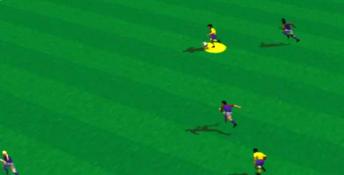 FIFA Soccer 96 PC Screenshot
