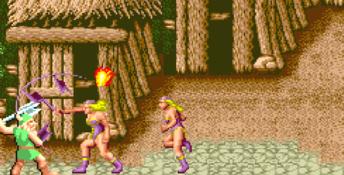 Golden Axe PC Screenshot