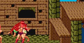 Golden Axe PC Screenshot
