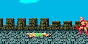 Golden Axe PC Screenshot