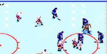 NHL Hockey 92 PC Screenshot