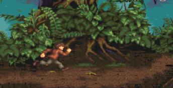 Pitfall: The Mayan Adventure PC Screenshot