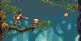 Pitfall: The Mayan Adventure PC Screenshot