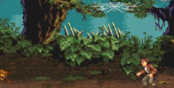 Pitfall: The Mayan Adventure PC Screenshot