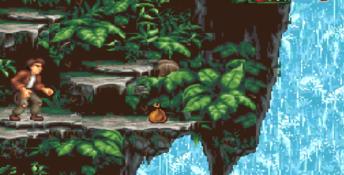 Pitfall: The Mayan Adventure PC Screenshot