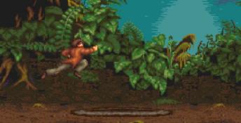 Pitfall: The Mayan Adventure PC Screenshot