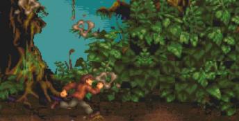 Pitfall: The Mayan Adventure PC Screenshot