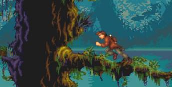 Pitfall: The Mayan Adventure PC Screenshot