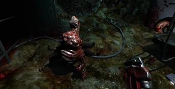 Prey