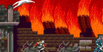Shadow Dancer (1989) PC Screenshot