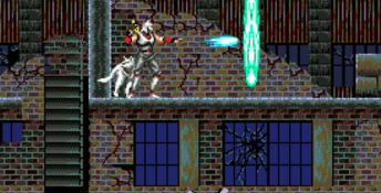 Shadow Dancer (1989) PC Screenshot
