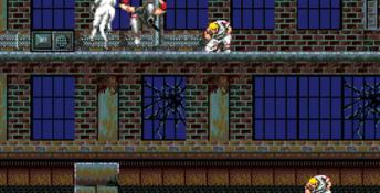 Shadow Dancer (1989) PC Screenshot