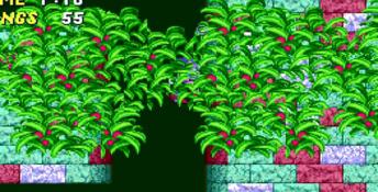Sonic Mega Collection Plus PC Screenshot