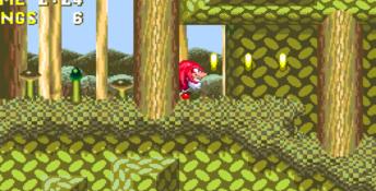 Sonic Mega Collection Plus PC Screenshot