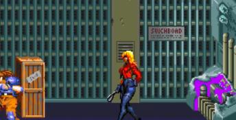 Streets Of Rage 3 PC Screenshot