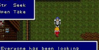 Sword Of Vermilion PC Screenshot