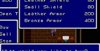 Sword Of Vermilion PC Screenshot