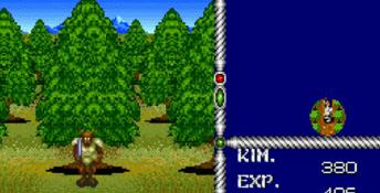 Sword Of Vermilion PC Screenshot