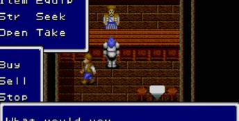 Sword Of Vermilion PC Screenshot