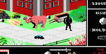 The Last Ninja
