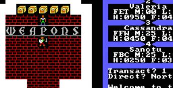 Ultima 3: Exodus PC Screenshot