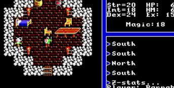 Ultima 5: Warriors of Destiny PC Screenshot