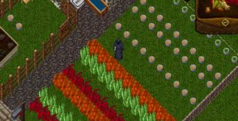 Ultima Online: A Day In The Life of One