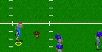 Unnecessary Roughness '95 PC Screenshot