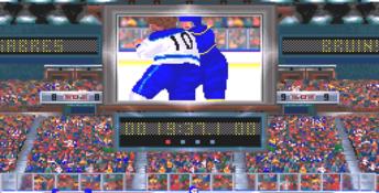 Wayne Gretzky Hockey PC Screenshot