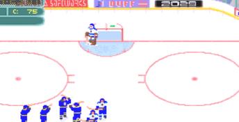Wayne Gretzky Hockey PC Screenshot