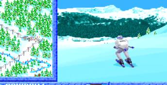 Winter Challenge PC Screenshot