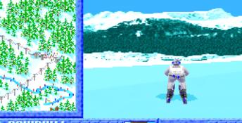 Winter Challenge PC Screenshot