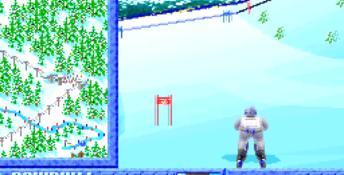 Winter Challenge PC Screenshot