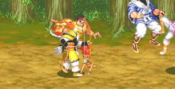 Warriors Of Fate Playstation Screenshot