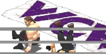 WCW vs The World Playstation Screenshot