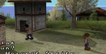 Harvest Moon: A Wonderful Life Special Edition Playstation 2 Screenshot