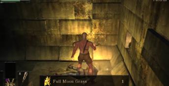 Demon's Souls Playstation 3 Screenshot