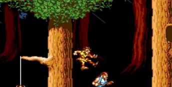 Hook Sega CD Screenshot