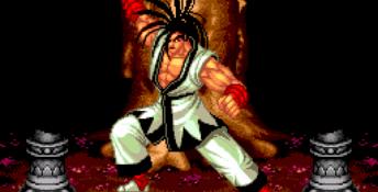 Samurai Shodown Sega CD Screenshot