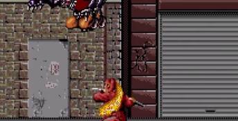 The Ninja Warriors Sega CD Screenshot