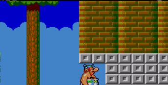 Asterix Sega Master System Screenshot